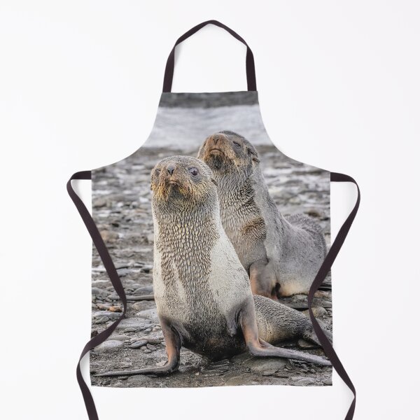 Item preview, Two Fur Seals on Rocky Beach South Georgia Island designed and sold by PhotoArt by Joan Carroll.