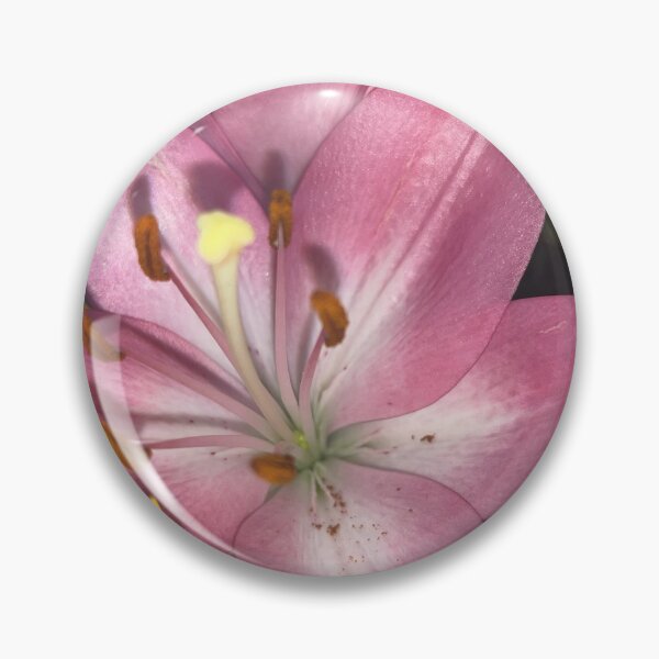 Item preview, Stargazer Lily Infinitum designed and sold by TaisiasCaptures.