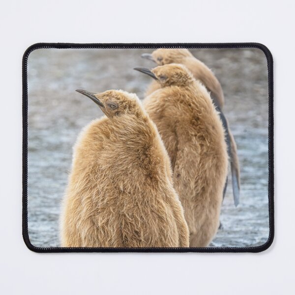 Item preview, Three Chicks designed and sold by PhotoArt by Joan Carroll.