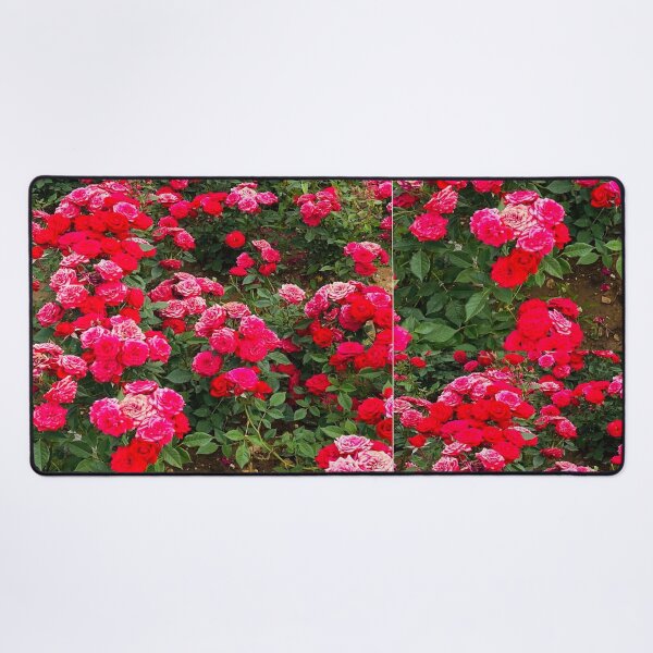 Item preview, Abundant Crimson Red and Pink Rose Garden Field designed and sold by BalkanBloomArt.