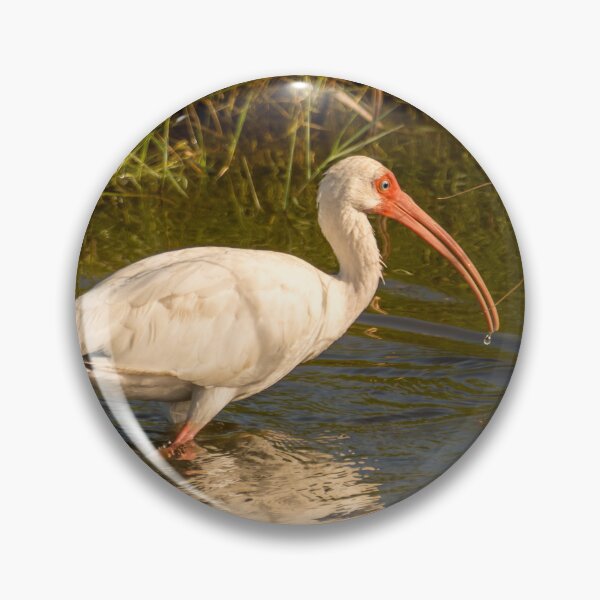 Item preview, Wading Ibis in Wetlands designed and sold by Debra Martz.