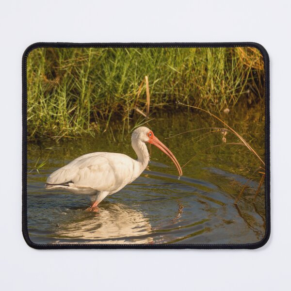 Item preview, Wading Ibis in Wetlands designed and sold by Debra Martz.