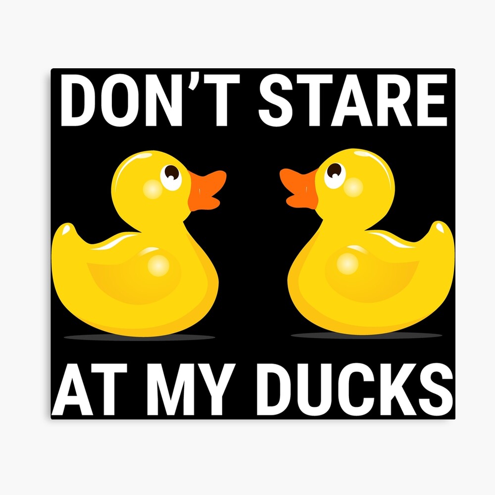 funny rubber ducky