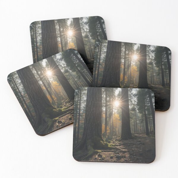 Item preview, Majestic Golden Hour Forest Sunbeams designed and sold by nininox.