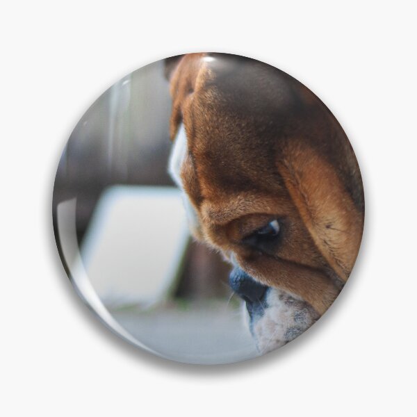 Item preview, Cute English Bulldog Sticker | Funny Bulldog Dog Sticker | British Bulldog Lover Gift | Adorable Puppy Sticker for Laptop, Water Bottle & Phone designed and sold by weirdcountry.