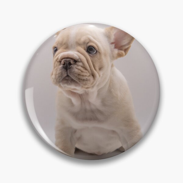Item preview, Cute English Bulldog Sticker | Funny Bulldog Dog Sticker | British Bulldog Lover Gift | Adorable Puppy Sticker for Laptop, Water Bottle & Phone designed and sold by weirdcountry.