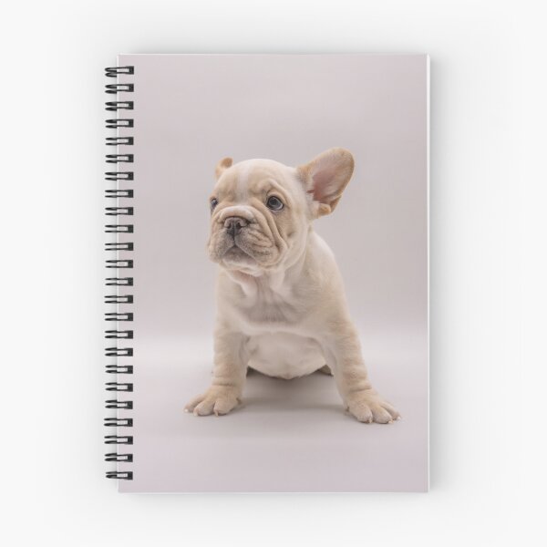 Item preview, Cute English Bulldog Sticker | Funny Bulldog Dog Sticker | British Bulldog Lover Gift | Adorable Puppy Sticker for Laptop, Water Bottle & Phone designed and sold by weirdcountry.