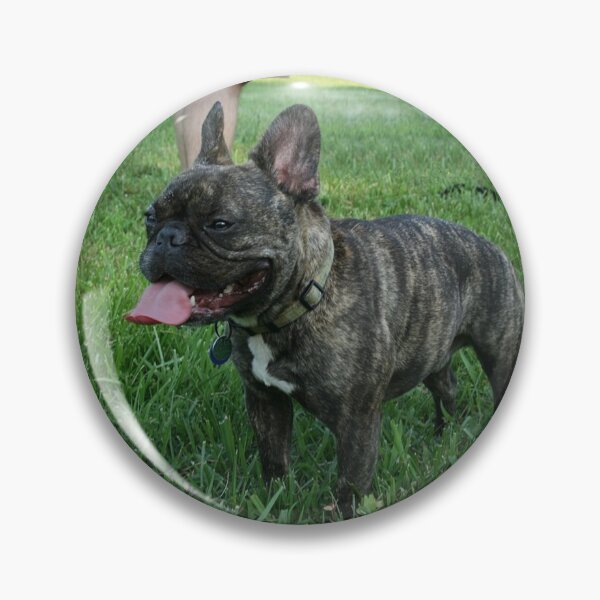Item preview, Tired from Playing French Bulldog designed and sold by DigiArtAnimal.