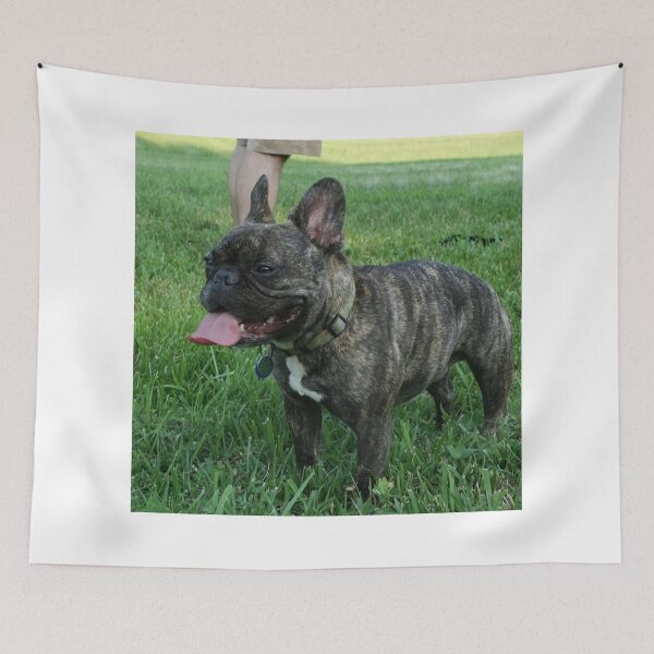 Item preview, Tired from Playing French Bulldog designed and sold by DigiArtAnimal.