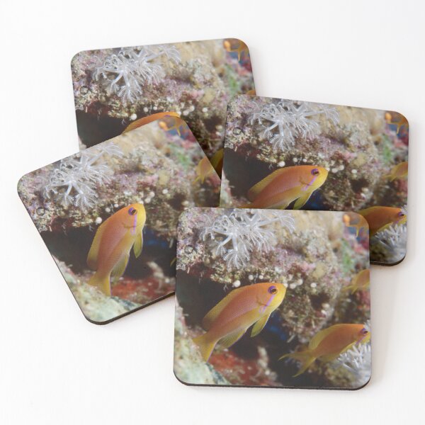 Item preview, Colorful Anthias Swimming Over Tropical Coral Reef Underwater Marine Scene designed and sold by FotoMahieu.