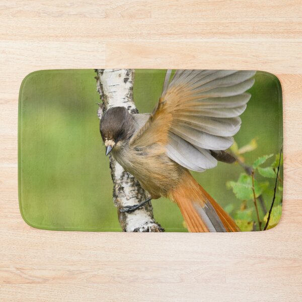 Item preview, Hey. Siberian jay designed and sold by Jouko Lehto Photography.