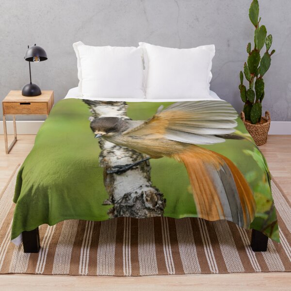 Item preview, Hey. Siberian jay designed and sold by Jouko Lehto Photography.