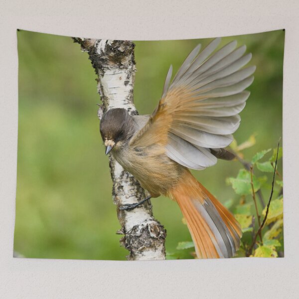 Item preview, Hey. Siberian jay designed and sold by Jouko Lehto Photography.