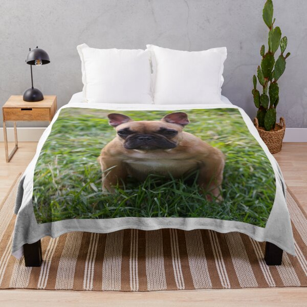 Item preview, Brown French Bulldog Puppy Sitting on Grass designed and sold by DigiArtAnimal.