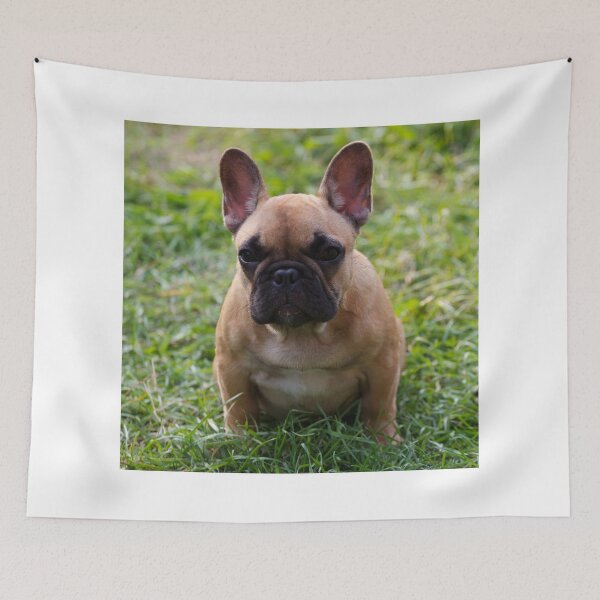 Item preview, Brown French Bulldog Puppy Sitting on Grass designed and sold by DigiArtAnimal.