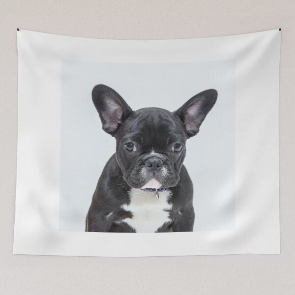 Item preview, Beautiful French Bulldog Puppy designed and sold by DigiArtAnimal.