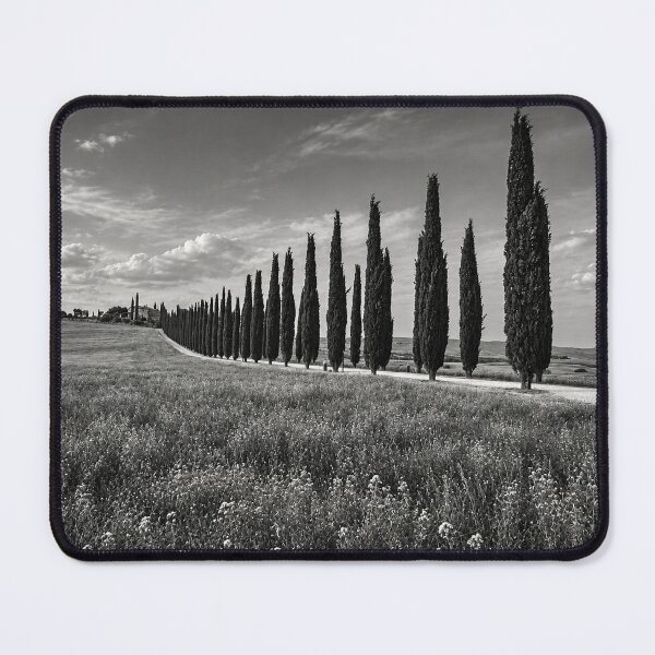 Item preview, Val d'Orcia Landscape in Black & White – Iconic Cypress Trees from Gladiator designed and sold by MetaModel Editions.