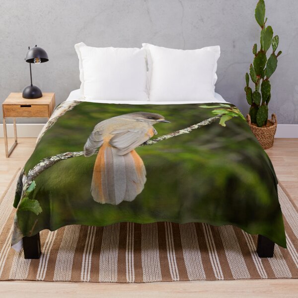 Item preview, From the forests. Siberian jay designed and sold by Jouko Lehto Photography.
