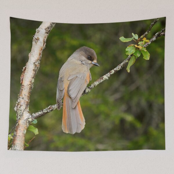 Item preview, From the forests. Siberian jay designed and sold by Jouko Lehto Photography.