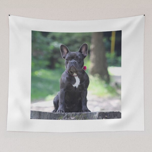 Item preview, Adorable Black French Bulldog designed and sold by DigiArtAnimal.