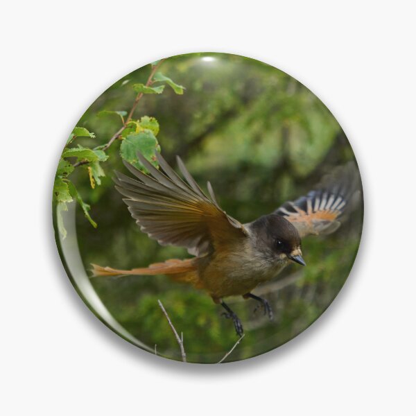Item preview, Fly. Siberian jay designed and sold by Jouko Lehto Photography.