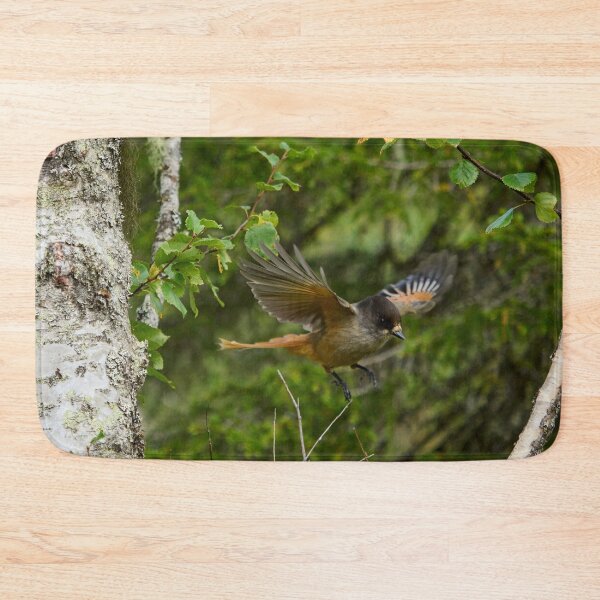 Item preview, Fly. Siberian jay designed and sold by Jouko Lehto Photography.