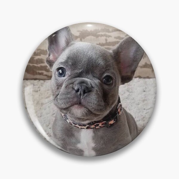 Item preview, Charming French Bulldog Puppy designed and sold by DigiArtAnimal.