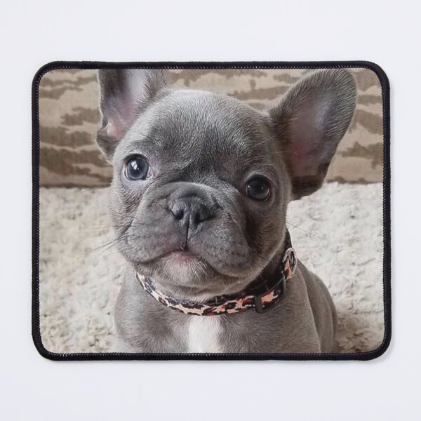 Item preview, Charming French Bulldog Puppy designed and sold by DigiArtAnimal.