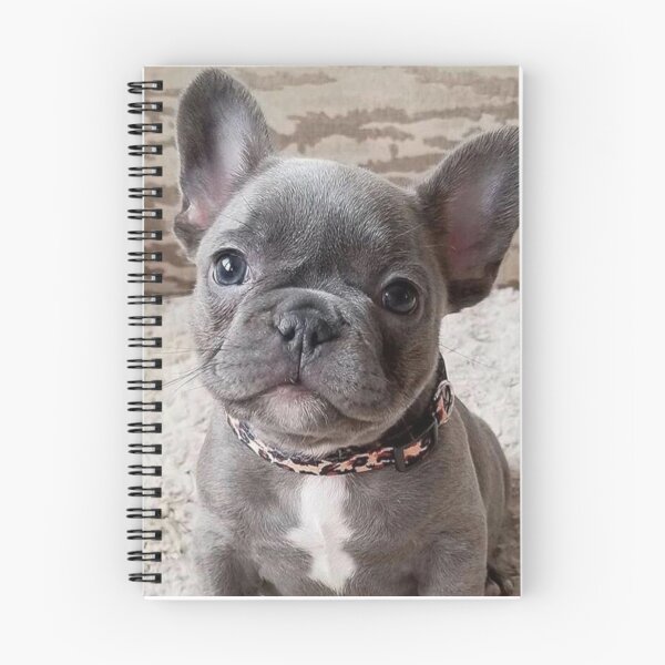 Item preview, Charming French Bulldog Puppy designed and sold by DigiArtAnimal.