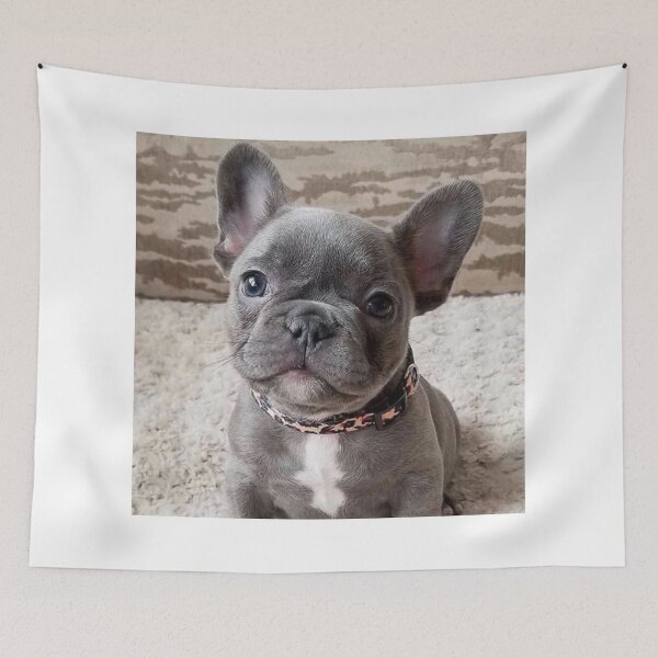 Item preview, Charming French Bulldog Puppy designed and sold by DigiArtAnimal.