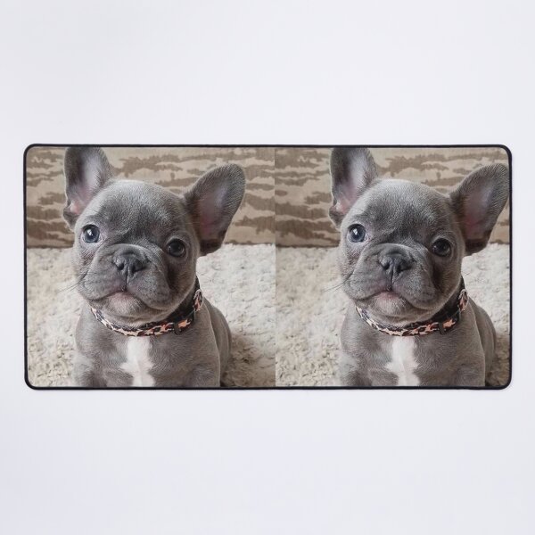 Item preview, Charming French Bulldog Puppy designed and sold by DigiArtAnimal.