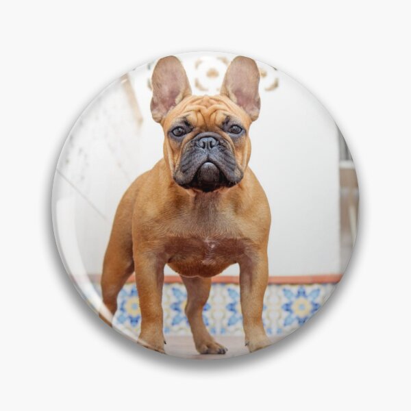 Item preview, Brave Brown French Bulldog designed and sold by DigiArtAnimal.