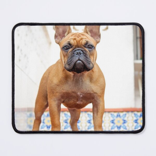 Item preview, Brave Brown French Bulldog designed and sold by DigiArtAnimal.
