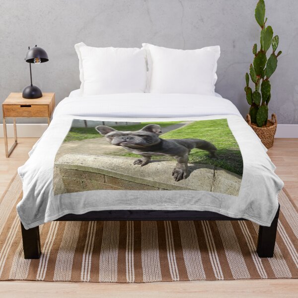Item preview, Alert Black French Bulldog designed and sold by DigiArtAnimal.