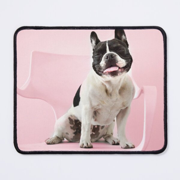 Item preview, Smiling French Bulldog Sitting on Chair designed and sold by DigiArtAnimal.