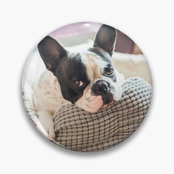 Item preview, Sleepy French Bulldog Puppy designed and sold by DigiArtAnimal.