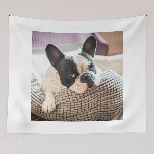 Item preview, Sleepy French Bulldog Puppy designed and sold by DigiArtAnimal.