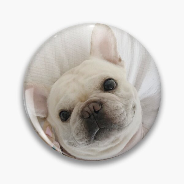 Item preview, Lovely French Bulldog with Favorite Toy designed and sold by DigiArtAnimal.