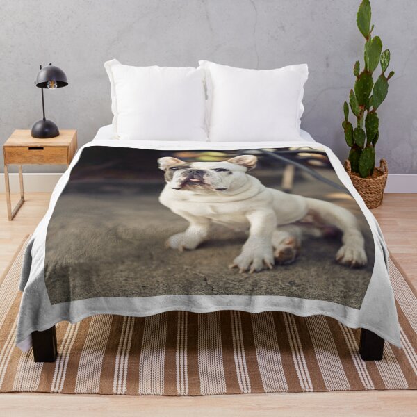 Item preview, Affictionate French Bulldog designed and sold by DigiArtAnimal.