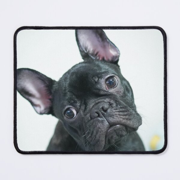 Item preview, Cute Head Tilting French Bulldog designed and sold by DigiArtAnimal.