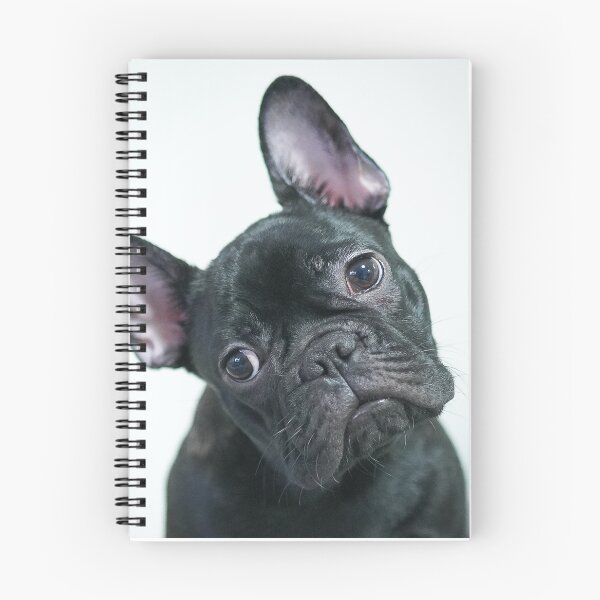 Item preview, Cute Head Tilting French Bulldog designed and sold by DigiArtAnimal.
