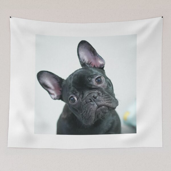 Item preview, Cute Head Tilting French Bulldog designed and sold by DigiArtAnimal.