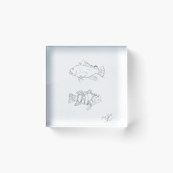 Item preview, The Grouper Fish sketch designed and sold by ArtSurvivalLife.