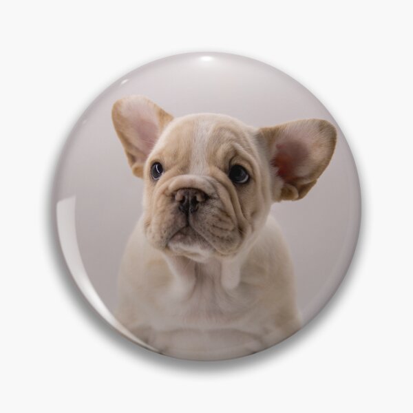 Item preview, Innocent Looking French Bulldog Puppy designed and sold by DigiArtAnimal.