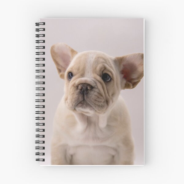 Item preview, Innocent Looking French Bulldog Puppy designed and sold by DigiArtAnimal.