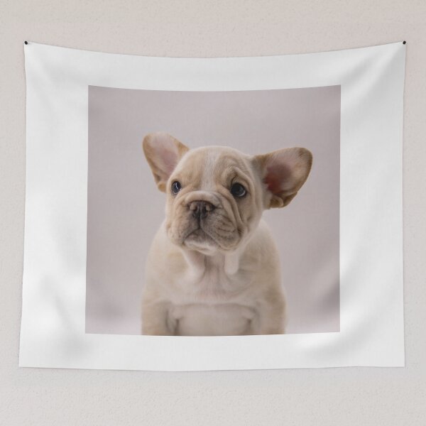 Item preview, Innocent Looking French Bulldog Puppy designed and sold by DigiArtAnimal.