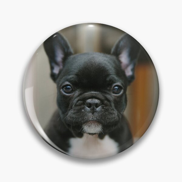 Item preview, Shinny Black French Bulldog Puppy designed and sold by DigiArtAnimal.