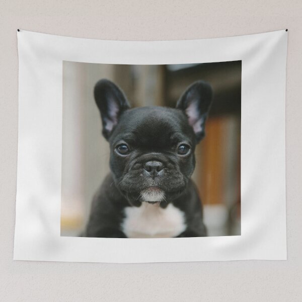 Item preview, Shinny Black French Bulldog Puppy designed and sold by DigiArtAnimal.