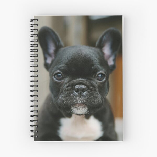 Item preview, Shinny Black French Bulldog Puppy designed and sold by DigiArtAnimal.