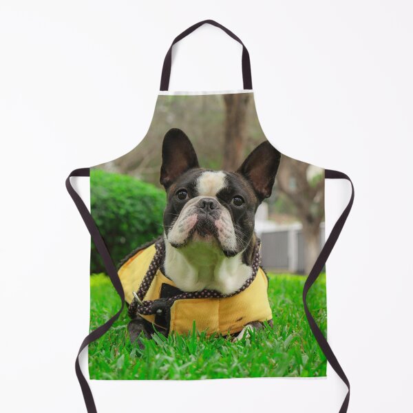 Item preview, French Bulldog Relaxing on Green Grass designed and sold by DigiArtAnimal.